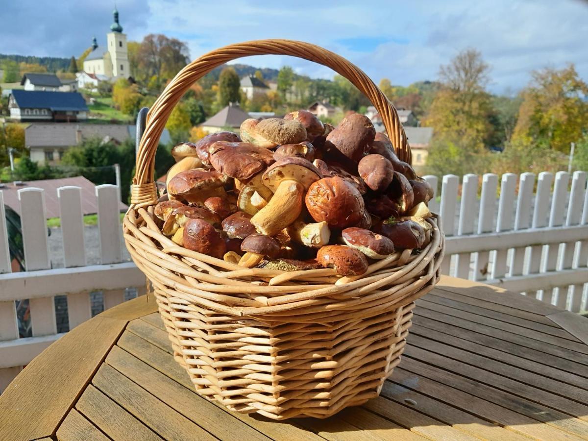 Pension Jana - Wellness Їлемніце Екстер'єр фото