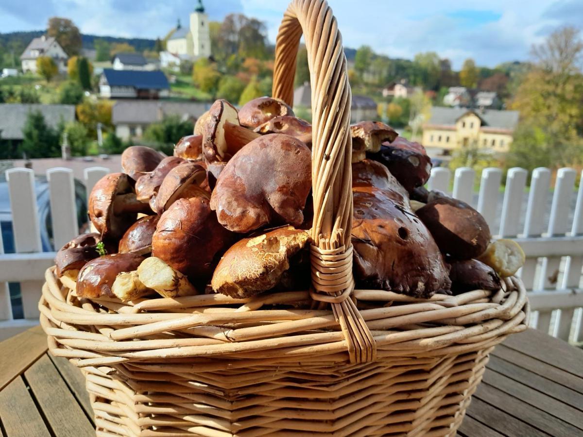 Pension Jana - Wellness Їлемніце Екстер'єр фото